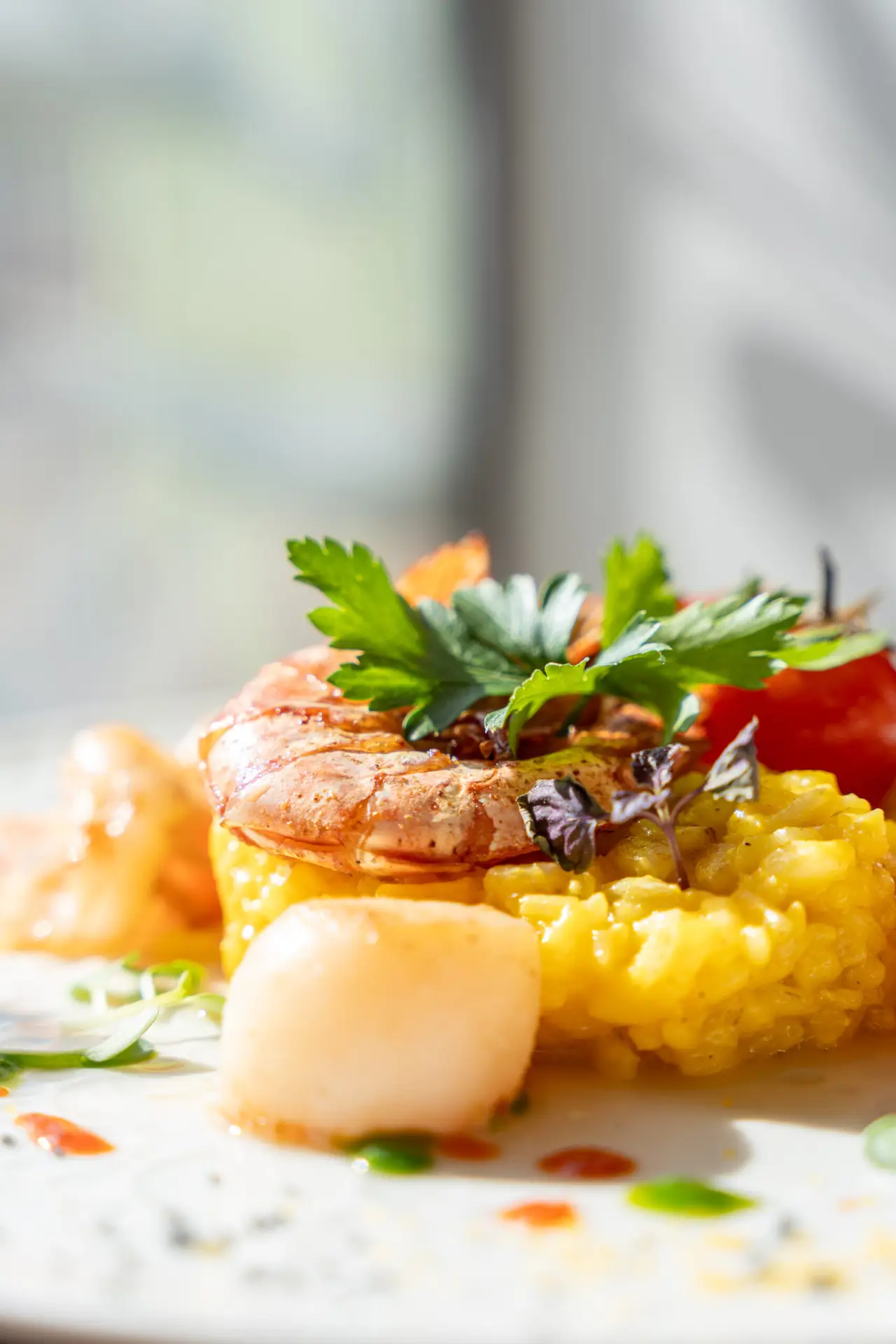 Angerichtetes Gericht mit Meeresfrüchten, Risotto und Kräutern bei Prindl.